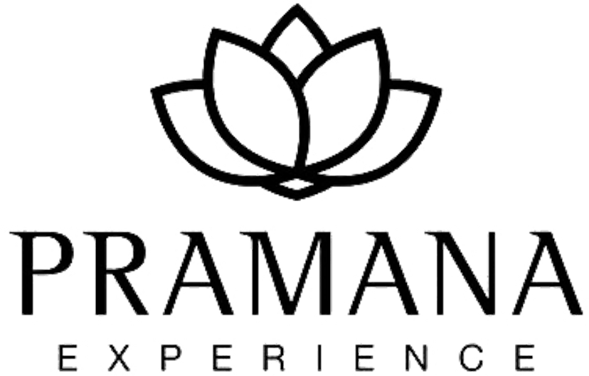 Pramana Experience